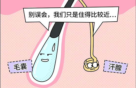 脫毛不徹底，毛毛的生命力到底有多頑強(qiáng)？(圖4)