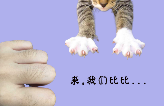 脫手指毛除了拔,還有什么好的方法(圖1) 脫手指毛除了拔,還有什么好的方法(圖1)